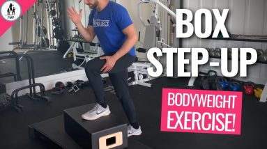Box Step-Up Exercise → Best Single Leg Bodyweight Exercises