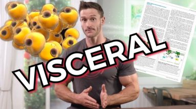 Fasting Directly Impacts Visceral Fat Loss (Pot Belly)