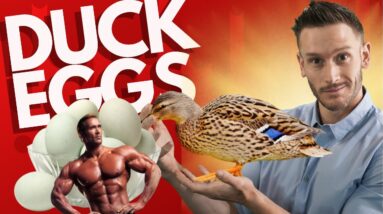 Are Duck Eggs a Legit Superfood? Was Mike O’Hearn Right all Along?!