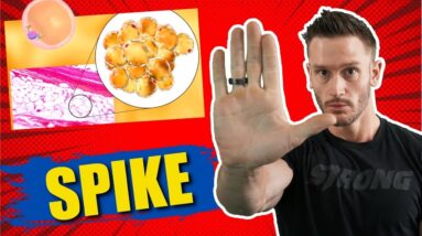 Does Spiking Your Insulin Immediately STOP Fat Loss?