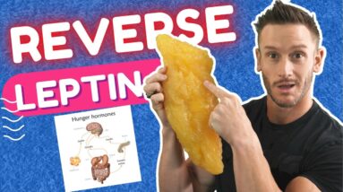 Reverse Leptin Resistance that Comes with Age