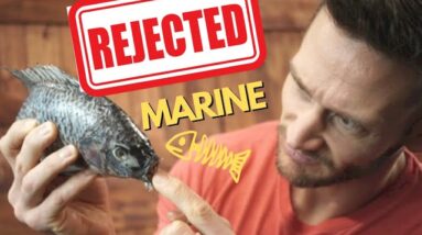 Marine Collagen: BETTER or WORSE Than Bovine Collagen?