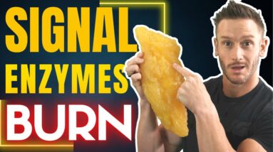 The FIRST Step of Fat Loss - How the Body Burns Fat