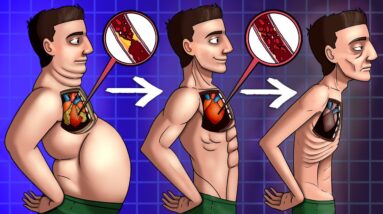 What Happens When You Stop Eating (Science-Based)