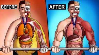 What Happens To Your Body When You Exercise