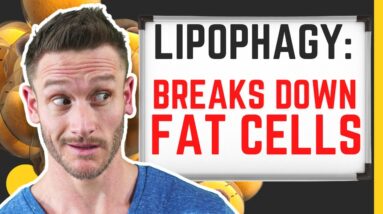 This Form of Autophagy INCREASES Fat Loss