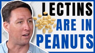 Do Lectins Shorten Our Lifespan | Gastroenterologist Shares Unpopular Truth