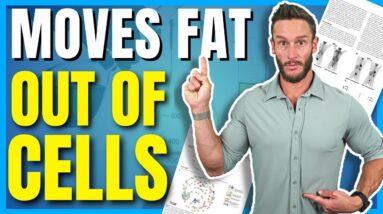 Newly Discovered Compound is Key to Fat Loss (produced by exercise)