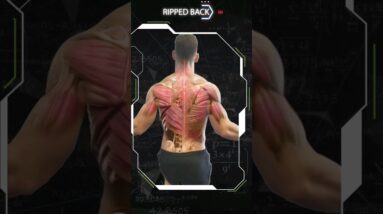 Best Exercise for a Bigger Back