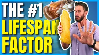 Is Obesity NO LONGER the #1 Factor Accelerating Aging?