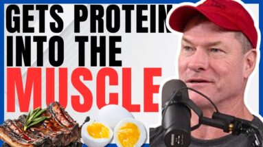 Carnivore Doctor Explains Why Carnivore Diet Builds More Muscle & Performance than Carbs