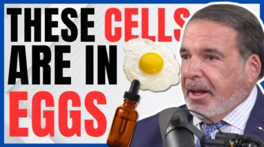 Famous Longevity Doctor Reveals Longevity Compound Found in Eggs & The 4 Pillars of Longevity