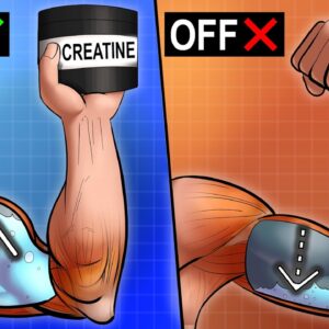 What Happens After Stopping Creatine