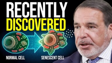 Newly Discovered Cause of Premature Aging - Longevity Scientist Dr. Hariri