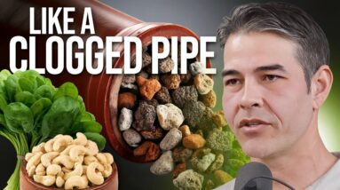 Kidney Scientist Reveals What is Damaging Most People’s Kidneys