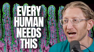 Neuroscientist Reveals How to Repair Gut Health without Probiotics - Dr. Sherr
