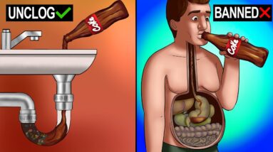 17 USA Foods That are ILLEGAL in Other Countries