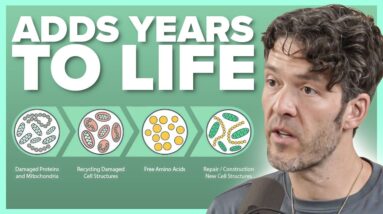 Powerful Way to Increase Autophagy by 40% Without Fasting (new study) - Biochemist Mike Mutzel