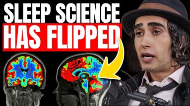 Harvard Neuroscientist Reveals How to Fall Asleep & Stay Asleep | Insomnia & Sleep Disorders Guide
