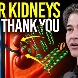 Kidney Scientist Reveals How High Protein Affects the Human Body (kidneys & other organs)