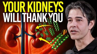 Kidney Scientist Reveals How High Protein Affects the Human Body (kidneys & other organs)