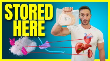 These Organs Absorb the Most Microplastics (how to flush them out)