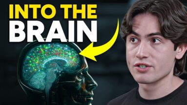 Neuropsychiatrist: We’ve Found the Biggest Cause of Microplastics in the Brain (how to detox)
