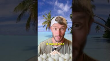 10 Healthiest Foods I Could Never Live Without (if I was on a desert island)