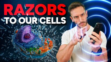 What EMF is Actually Doing to Our Metabolism - And Why Mainstream Doesn’t Talk About it