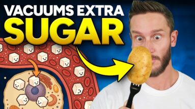 99% of People Lose Belly Fat with 1/2 Cup Daily (blocks calorie absorption)