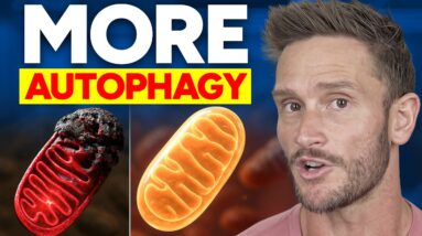 The Literal Best Fasting to Increase Lifespan (alters mitochondria)