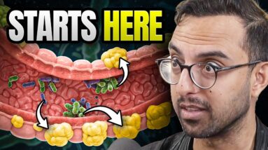 The Inflammation Doctor: This Simple Organ Regulates 83% of Our Metabolism