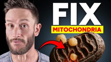 You'll Never Look at Mitochondria and Fat Loss the Same Way Ever Again