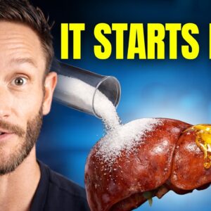 They Were Wrong About Insulin Resistance (here's how to fix it)