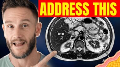 Visceral Fat is Literally Shrinking Your Brain - This Stops it
