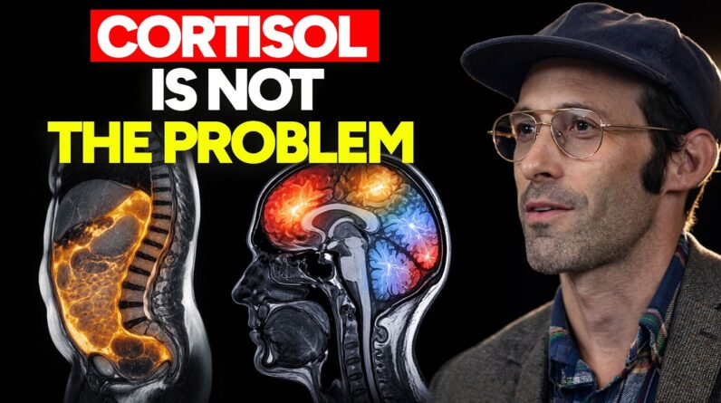 The Cortisol Doctor: This is What Really Drives Visceral Fat Growth