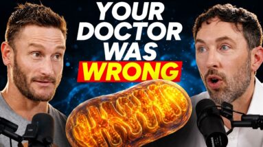 10 Signs Your Mitochondria are Dying (that lab tests don't show)