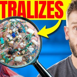 4g of This Powder Stops Brain Inflammation (and stops microplastics)