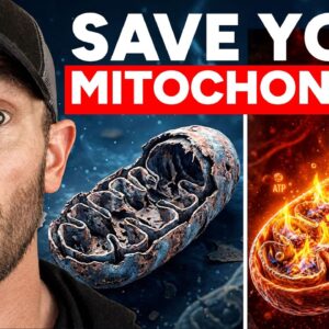 ½ Cup Stops Mitochondrial Dysfunction (starts working immediately)