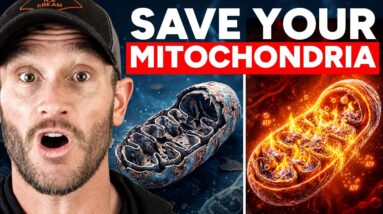 ½ Cup Stops Mitochondrial Dysfunction (starts working immediately)