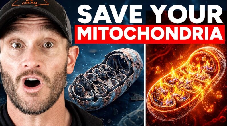 ½ Cup Stops Mitochondrial Dysfunction (starts working immediately)