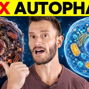 What Happens to Cellular Cleanup in 20 Hours Without Food