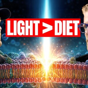 Your Mitochondria are Begging You For This (more than Diet)