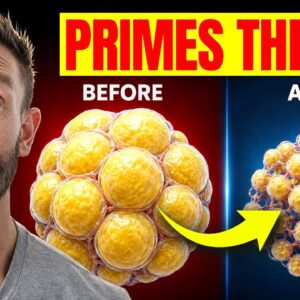 Eat This Before Fasting to DOUBLE Autophagy and Shrink Fat Cell by 50%