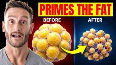 Eat This Before Fasting to DOUBLE Autophagy and Shrink Fat Cell by 50%