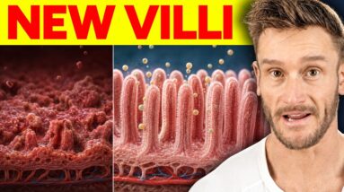 Damaged Gut - This is How I’d Fix it in 30 Days