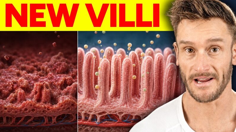 Damaged Gut - This is How I’d Fix it in 30 Days