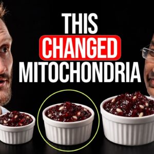 Mitochondria Scientist: This Changes Mitochondria More Than Fasting (39% Renewal)