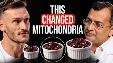 Mitochondria Scientist: This Changes Mitochondria More Than Fasting (39% Renewal)
