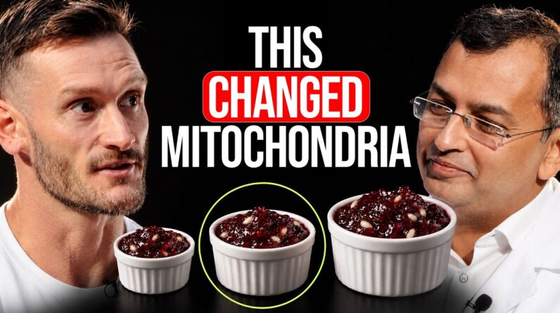 Mitochondria Scientist: This Changes Mitochondria More Than Fasting (39% Renewal)
